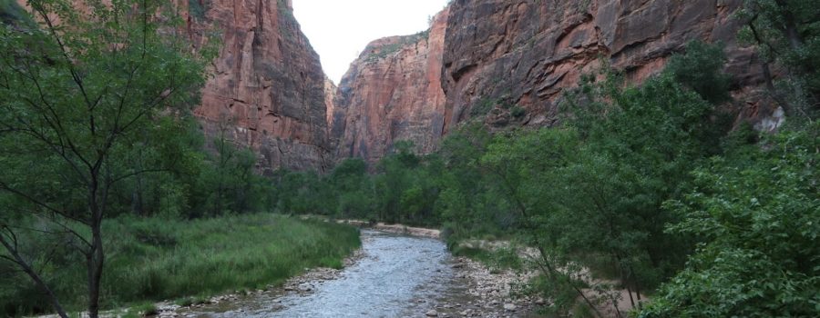 Zion National Park