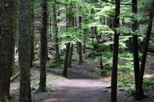 French Creek & Ricketts Glen State Parks