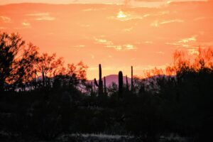 Picacho Peak State Park & Quartzsite, Arizona