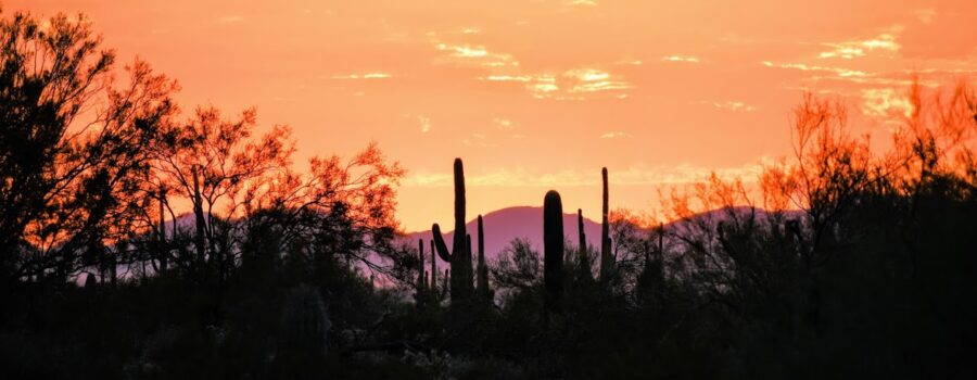 Picacho Peak State Park & Quartzsite, Arizona