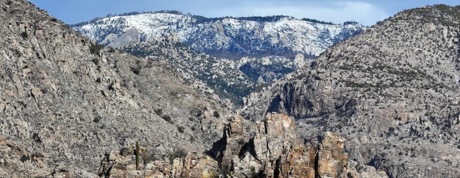 Mount Lemmon & Sabino Canyon