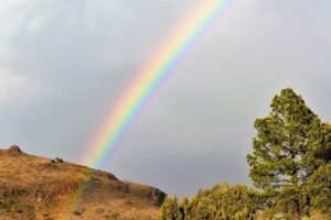 Deming, NM and Davis Mountains State Park