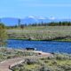 Idyllic Idaho and West Yellowstone