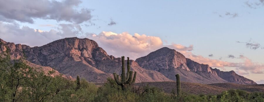 Returning to Catalina & Lost Dutchman State Parks